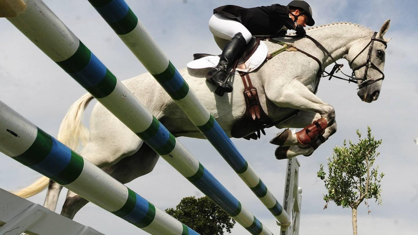 World Equestrian Games Live BBC Sport