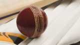 Cricket ball on pads