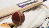 Cricket bat, ball, pads & gloves