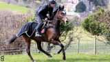 Michael Scudamore rides Monbeg Dude on the gallops