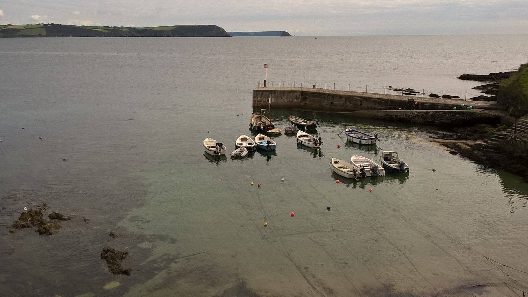 BBC Local Live: Devon and Cornwall for Thursday 17 December - BBC News