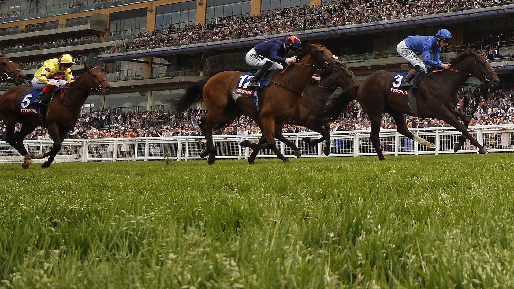 Royal Ascot Live Updates on day one of racing BBC News