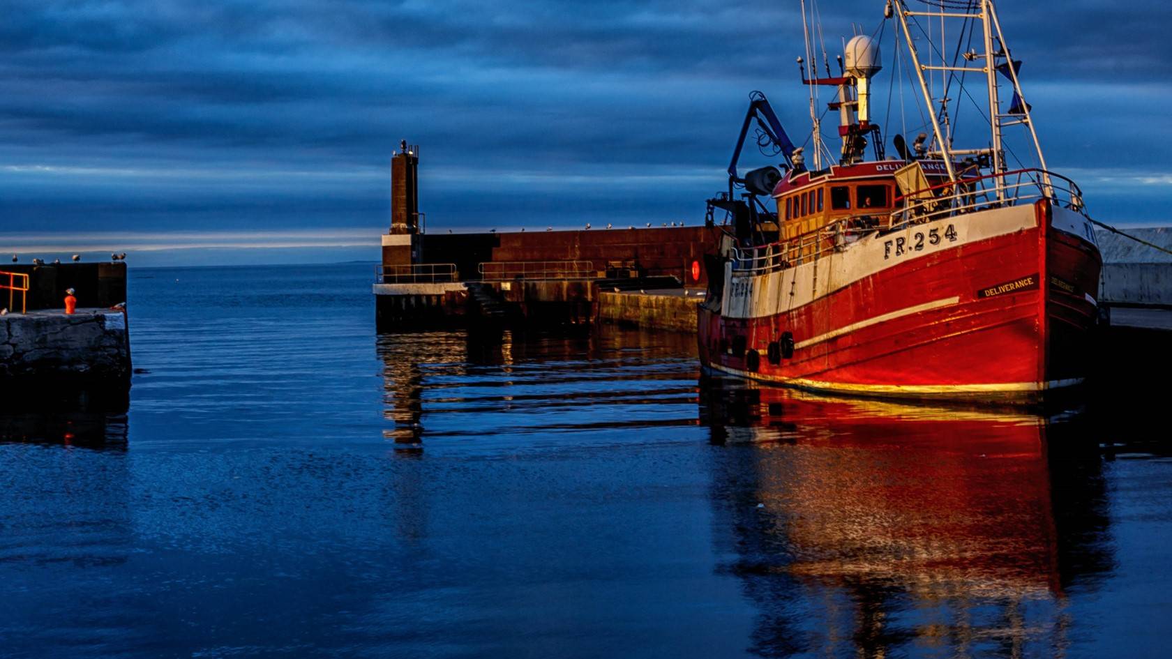 bbc news northern ireland live stream