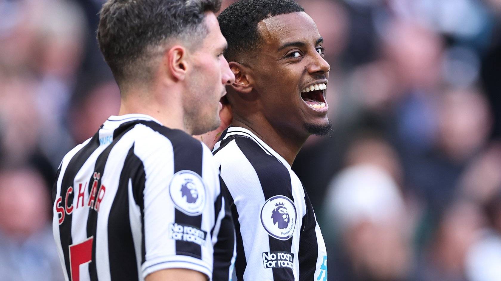 Newcastle players celebrate