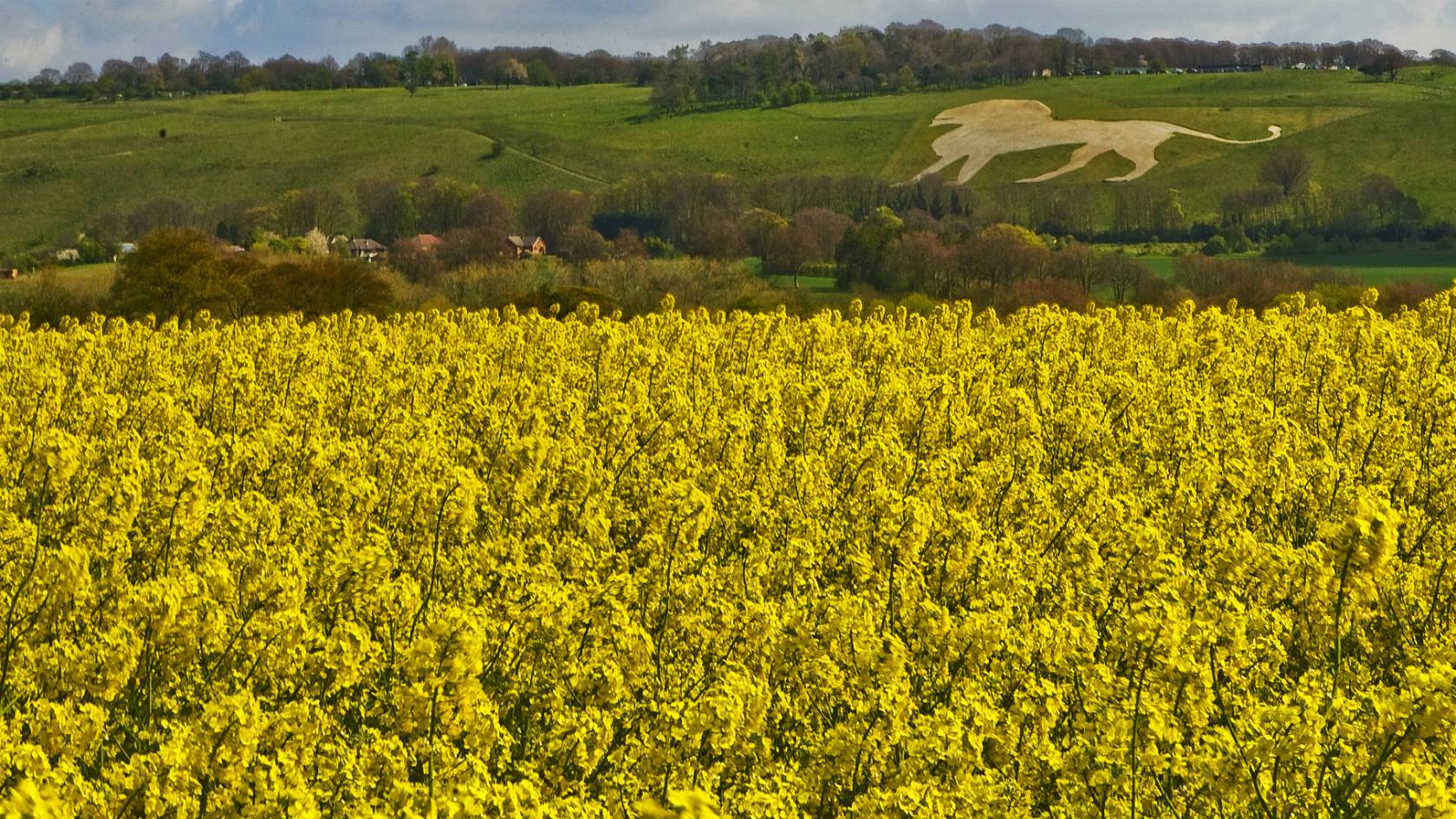 BBC Local Live Beds, Herts & Bucks BBC News