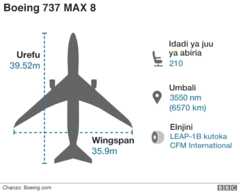 Boeing 737 Max 8