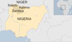 Thousands of people in north-western states of Nigeria have fled to Niger