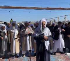 مولوی عبدالحمید