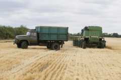 Сбор урожая в Одесской области