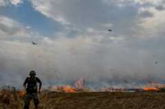 Украинский военный на горящем пшеничном поле