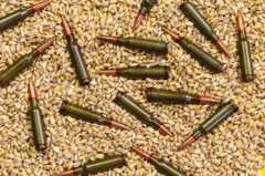 Патроны и зерно