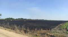 горящие поля