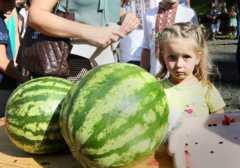 До войны и оккупации Херсонщина поставляла арбузы во все уголки Украины