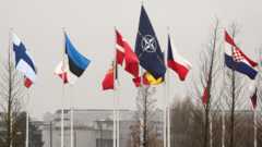 Флаг стран НАТО в Брюсселе