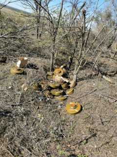 Державна спеціальна служба транспорту