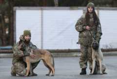 Полицейские с собаками