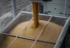 Зерно Украины