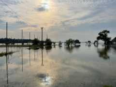 фото Николаева