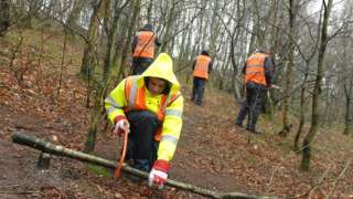 Man chopping wood in a forest