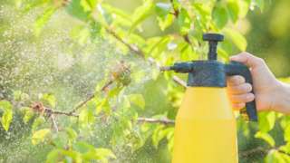 Plants being sprayed with a liquid