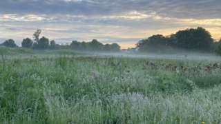 Early morning mist over a field in the village of Arborfield in Berkshire