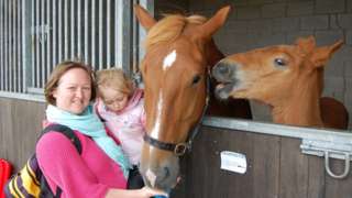 Visitors looking at horses at the Suffolk Show