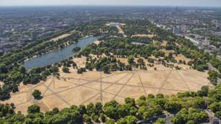 Aerial view of a parched Kensington Gardens and Hyde Park