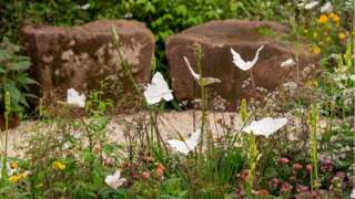 Joe and Laura's garden at Chelsea Flower Show