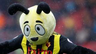 Harry the Hornet