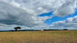 A field with cloudy skies above in Chidham and Hambrook, West Sussex