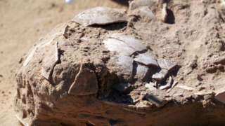 Remains of 4,000-year-old ostrich egg found at a prehistoric camp site in Israel's Negev region