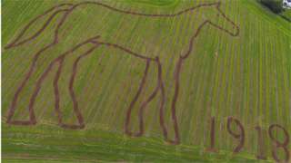 Horse etching