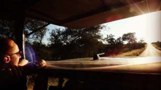 Looking at the open road