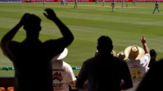 Fans at the Gabba
