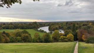 A pathway through grass