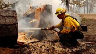 A firefighter extinguishes a fire in the base of a tree that was cut down while fighting the Dixie Fire