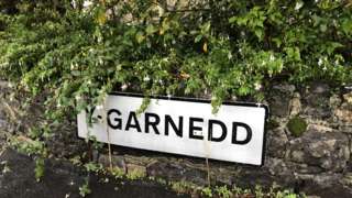 Y Garnedd