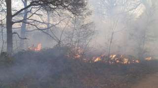 Fire on Rammey Marsh in Enfield