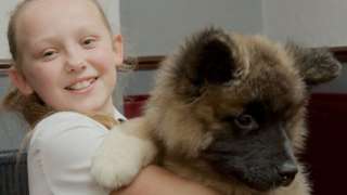 Zoe Picken and American Akita puppy Rosco