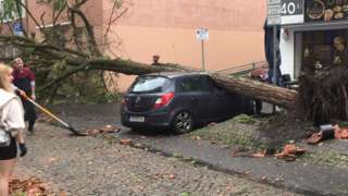 A fallen tree on a car in the aftermath of a suspected tornado in Paderborn