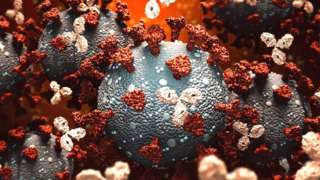 Antibodies attacking virus