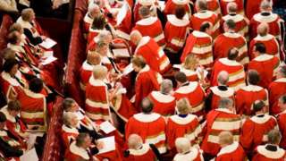 Peers in the House of Lords