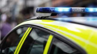 Cannabis worth £10m found in rabbit hay lorry