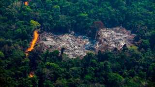 Deforestation in the Amazon basin