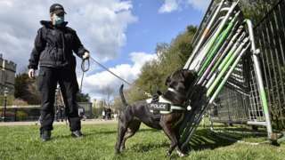 Sniffer dog
