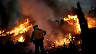 A Brazilian Institute for the Environment and Renewable Natural Resources (IBAMA) fire brigade member attempts to control a fire in a tract of the Amazon jungle in Apui, Amazonas State, Brazil, August 11, 2020