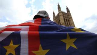 Brexit protester outside Parliament