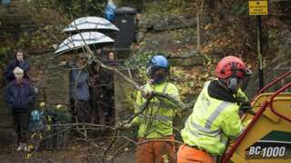 Members of the public look on as contractors cut down a tree in Rustlings Road