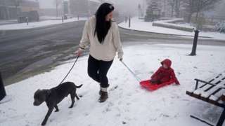 A woman takes her dog for a walk and pulls a child on a sledge in the snow