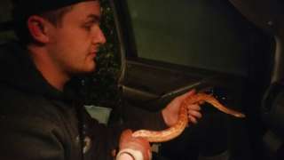 Mechanic Tom Haley with snake
